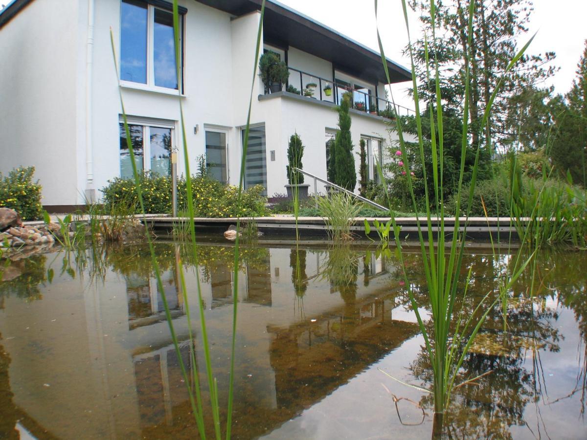 Ferienwohnung In Waldrandlage Zierenberg Exteriér fotografie