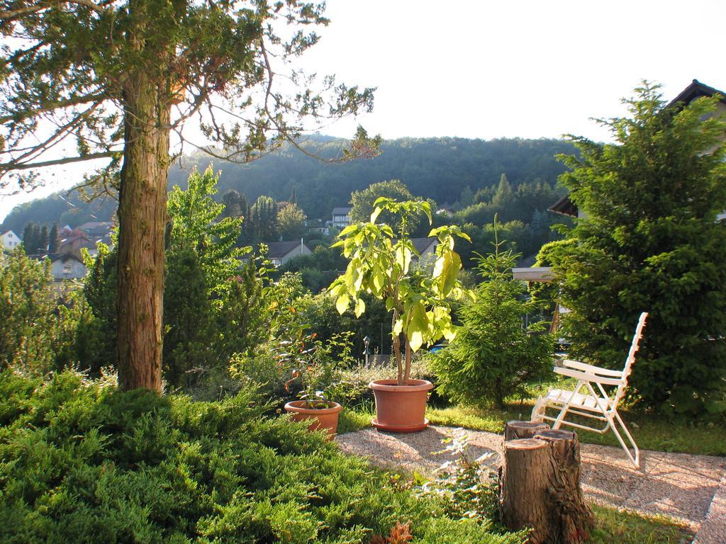 Ferienwohnung In Waldrandlage Zierenberg Exteriér fotografie